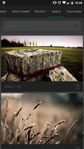 Wallhaven – Free Wallpapers screenshot 2