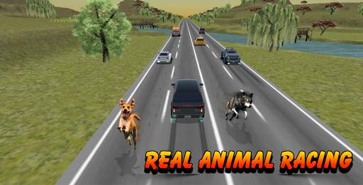 Wild Race in Heavy Traffic screenshot 5