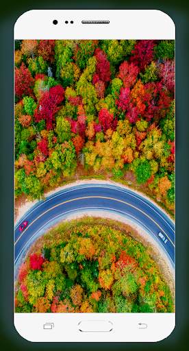 Road Wallpaper HD screenshot 4