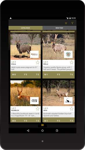 Stud Game Breeders screenshot 7