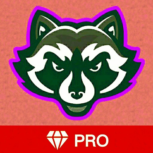 VPN Master Pro icon