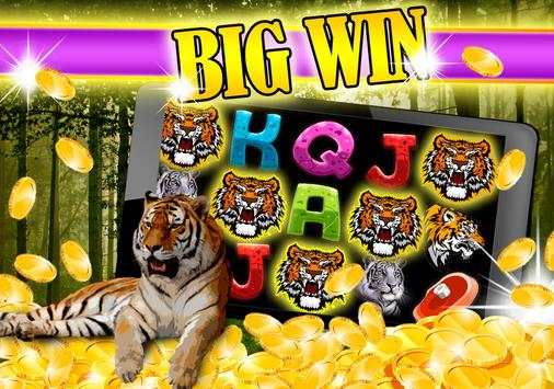 Buffalo Safari 777 Slots FREE screenshot 6