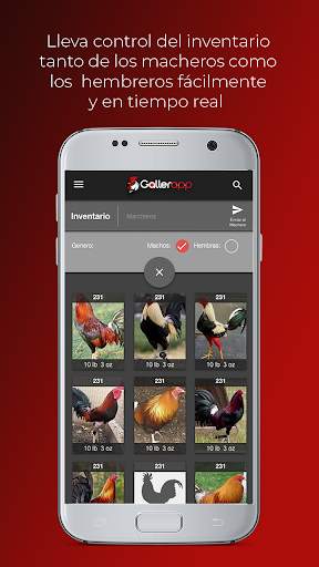 Gallerapp screenshot 6