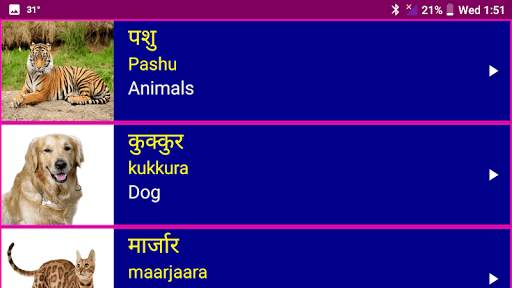 Learn Sanskrit From English स्क्रीनशॉट 11