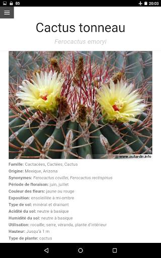 Au Cactus screenshot 15