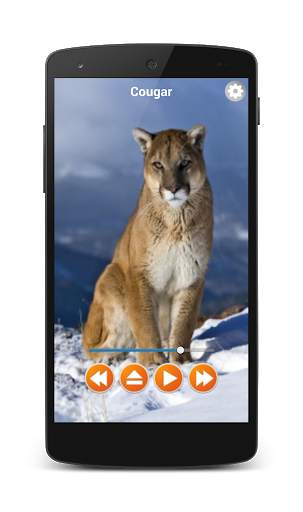 Animal Sounds Free Offline screenshot 1
