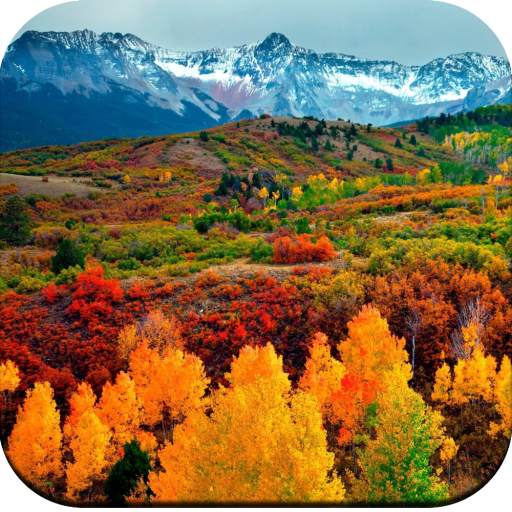 Autumn wallpaper 1.03