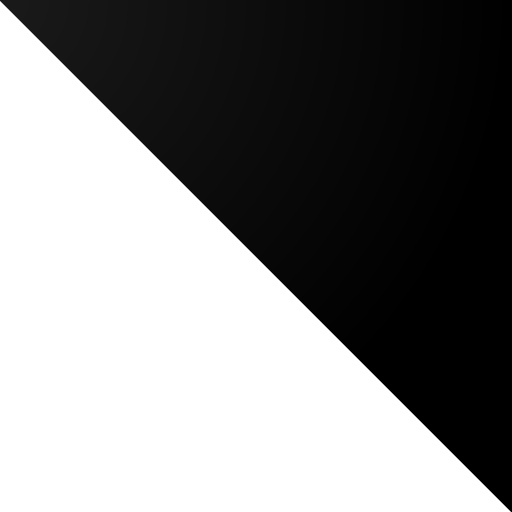 Flashlight Application icon