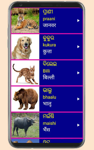 Learn Odia From Hindi скриншот 5