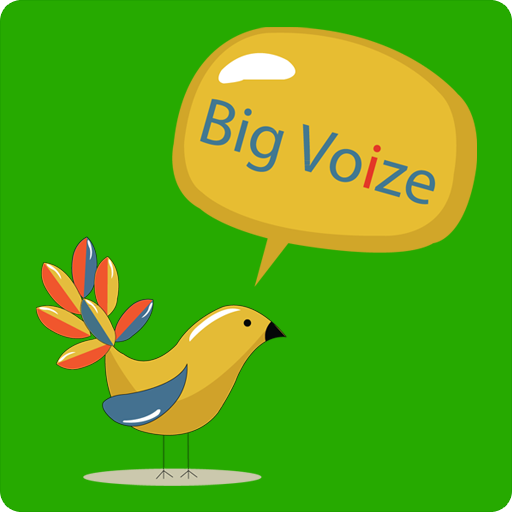 Big Voize-Lite icon