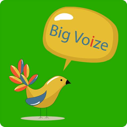 Big Voize-Lite 2.1.6