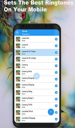 Bird Ringtones For Android Phone screenshot 2