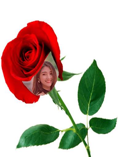 Red Rose Photo Montage screenshot 1