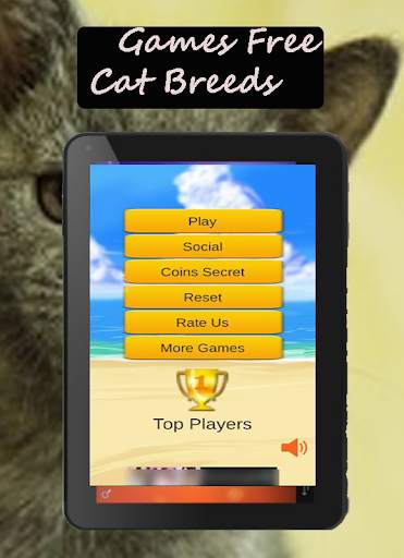 Cat Breeds: Cat Games screenshot 11