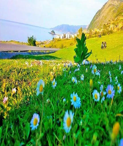أجمل صور الطبيعة الخلابة HD screenshot 5