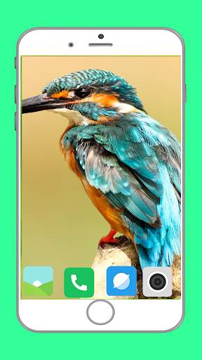 Birds Full HD Wallpaper स्क्रीनशॉट 16