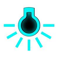 Flash Light