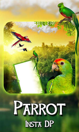 Parrot Insta DP Maker – Love Birds screenshot 1