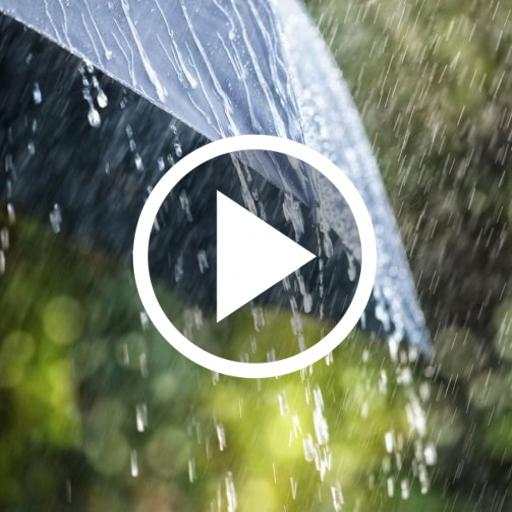Rain Video Live Wallpaper 1.7