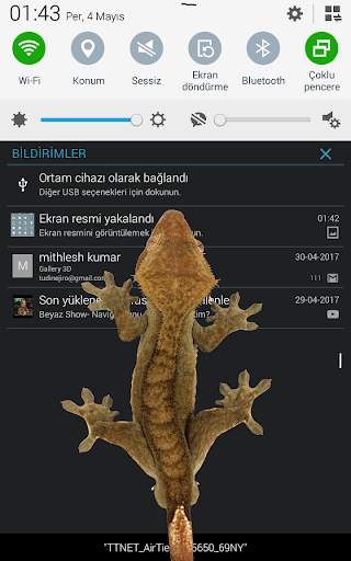 Lizard in phone funny walks screenshot 3