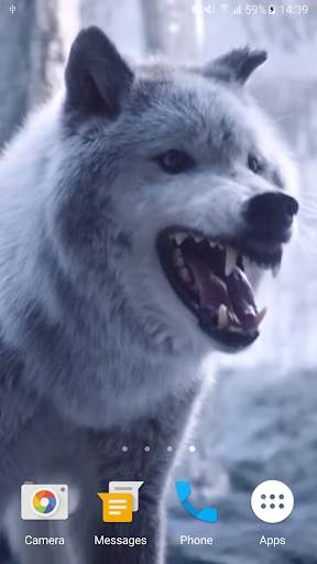 Wolf Video Live Wallpaper screenshot 4