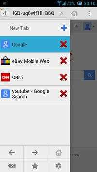 Fortune Web Browser screenshot 1