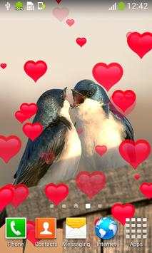 Love Birds Live Wallpapers screenshot 3