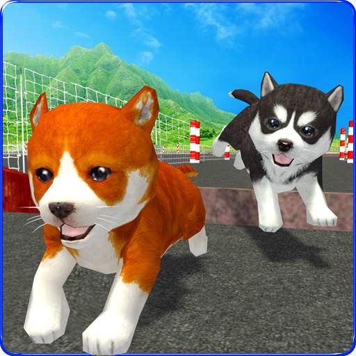 Cute Puppy Dog Racing Sim 2017 1.2