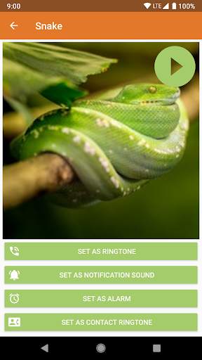 Animal Ringtones & Sounds screenshot 5