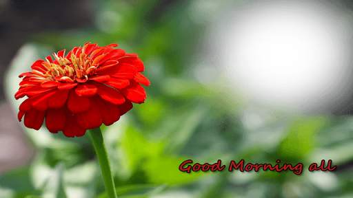 Good Morning Photo Frame screenshot 1