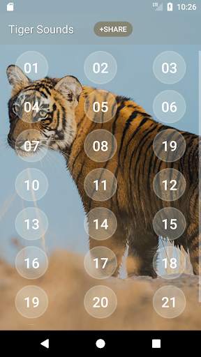 Tiger Sounds and Ringtone screenshot 2