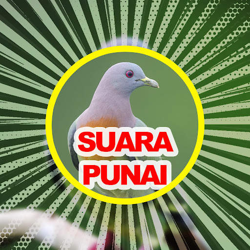 Suara Punai: Green Pigeon screenshot 8
