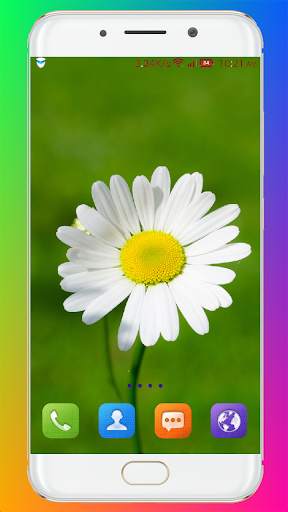 Flower Wallpaper HD screenshot 12