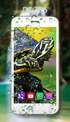 Turtles Cute Live Wallpaper screenshot 3