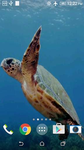 Turtle 3D Live Wallpaper screenshot 3