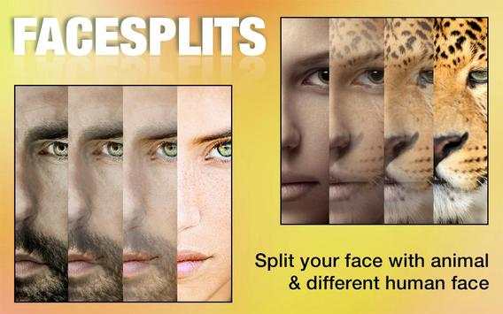 Face Morphing screenshot 3