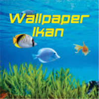Wallpaper Ikan