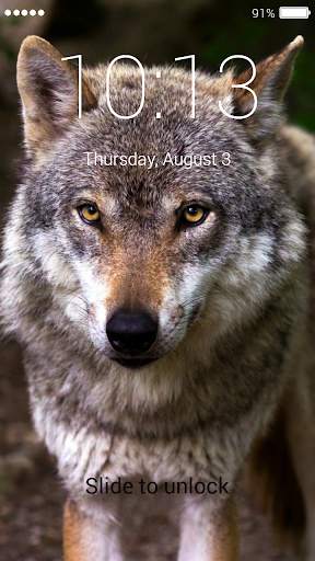 Wolf Lock Screen 6 تصوير الشاشة
