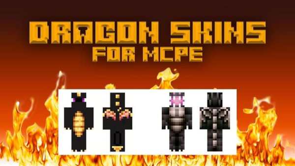 Skins Ender Dragon for Minecraft PE screenshot 3