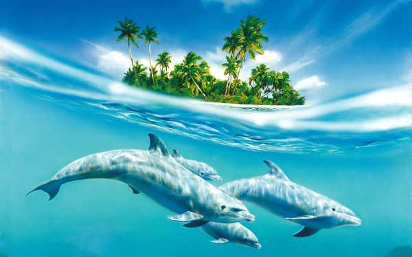 Tropical Live Wallpaper screenshot 7