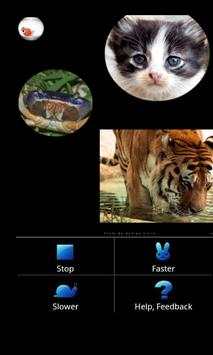 Photo Gallery (Fish Bowl) screenshot 8