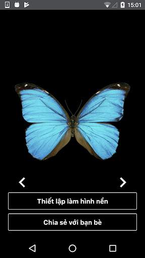 Hình nền Bphone - Bphone wallpaper 3 تصوير الشاشة