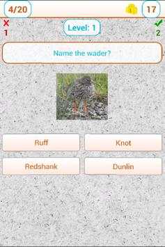 Bird image quiz screenshot 3