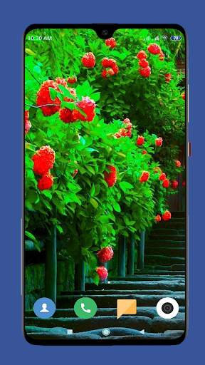 Beautiful Spring Wallpaper  4K screenshot 7