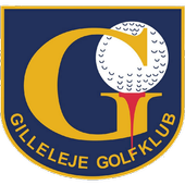 GGK Optimizer icon