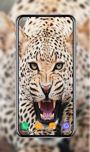 New Cheetah Wallpapers screenshot 2