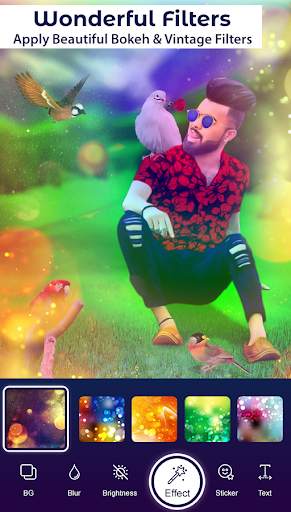 Bird Photo Editor screenshot 7