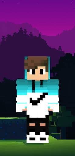 Nike Skin for minecraft screenshot 1