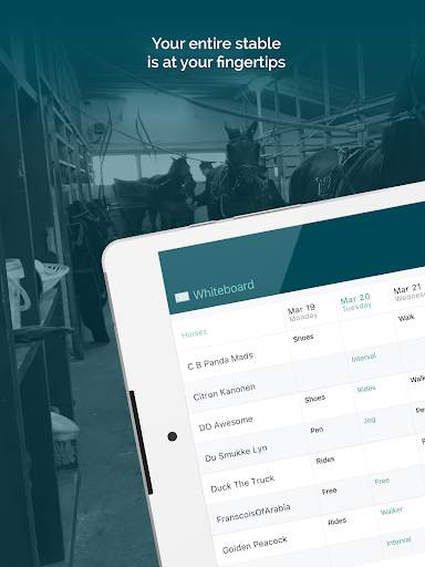 Mosson Stable screenshot 6