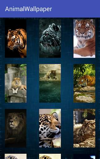 Animal Wallpaper screenshot 6